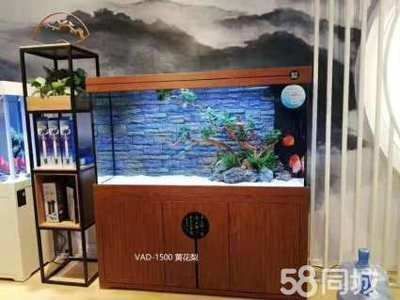 怒江傈僳族自治州可麗愛魚缸專賣店：可麗愛魚缸專賣店