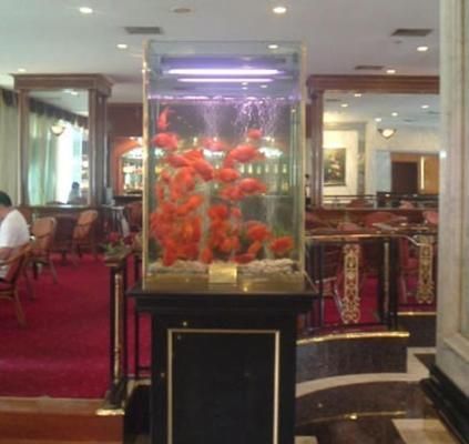 廈門森森魚(yú)缸專賣店：廈門森森魚(yú)缸專賣店信息