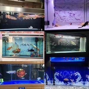 烏海森森魚缸專賣店：烏海市森森魚缸專賣店 彩鰈魚缸（彩蝶魚缸） 第1張