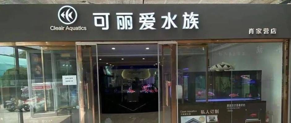 大連可麗愛魚缸專賣店：大連可麗愛魚缸專賣店信息