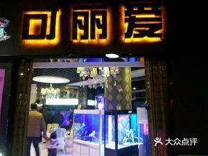 金昌可麗愛魚缸專賣店：金昌可麗愛魚缸專賣店介紹 彩鰈魚缸（彩蝶魚缸） 第2張