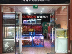 定西森森魚缸專賣店：定西市森森魚缸專賣店提供魚缸及水族相關(guān)產(chǎn)品的零售店鋪