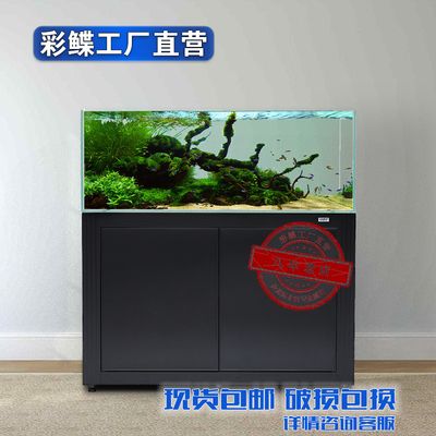 錦州彩鰈魚缸專賣店：錦州彩鰈魚缸專賣店提供全面的魚缸維護和養(yǎng)護服務