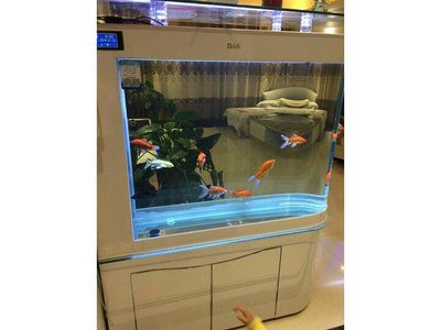 東莞可麗愛魚缸專賣店：東莞可麗愛魚缸專賣店怎么樣 彩鰈魚缸（彩蝶魚缸） 第5張