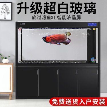 阜陽森森魚缸專賣店：森森魚缸專賣店 彩鰈魚缸（彩蝶魚缸） 第4張