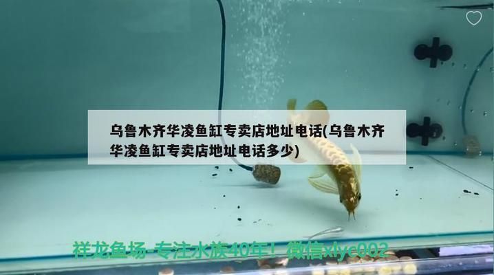 廣州森森魚(yú)缸專賣店：廣州森森魚(yú)缸專賣店信息 彩鰈魚(yú)缸（彩蝶魚(yú)缸） 第5張