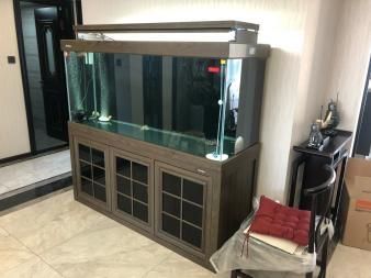 天津森森魚缸專賣店：天津森森魚缸專賣店介紹 彩鰈魚缸（彩蝶魚缸） 第5張