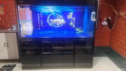 洛陽森森魚缸專賣店：洛陽森森魚缸專賣店怎么樣 彩鰈魚缸（彩蝶魚缸） 第4張