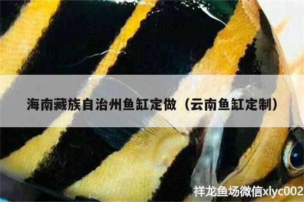 海南藏族自治州魚缸定做（云南魚缸定制）