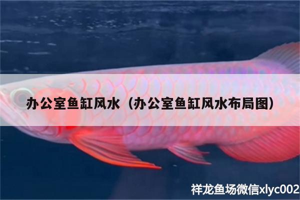 辦公室魚缸風(fēng)水（辦公室魚缸風(fēng)水布局圖） 魚缸風(fēng)水