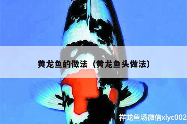 黃龍魚的做法（黃龍魚頭做法） 廣州水族器材濾材批發(fā)市場(chǎng)