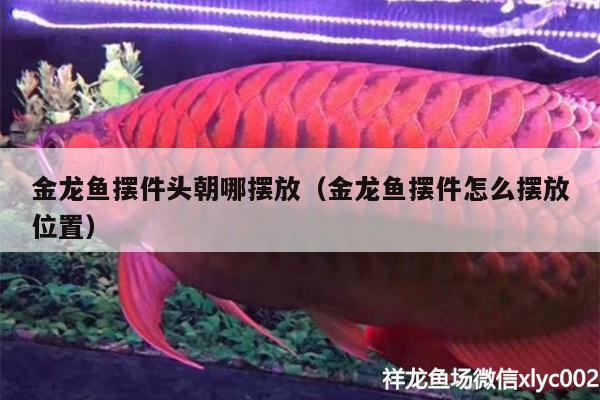 金龍魚(yú)擺件頭朝哪擺放（金龍魚(yú)擺件怎么擺放位置）