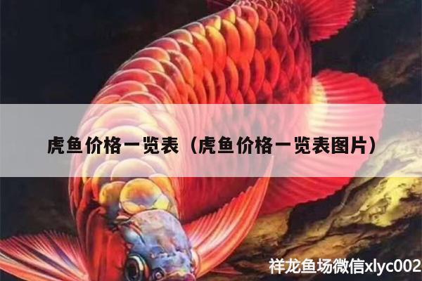 虎魚價格一覽表（虎魚價格一覽表圖片）