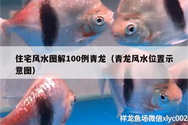 住宅風(fēng)水圖解100例青龍（青龍風(fēng)水位置示意圖） 魚缸風(fēng)水