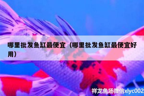 哪里批發(fā)魚缸最便宜（哪里批發(fā)魚缸最便宜好用） 祥龍水族護理水