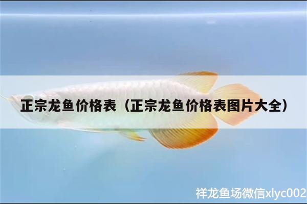 正宗龍魚(yú)價(jià)格表（正宗龍魚(yú)價(jià)格表圖片大全）