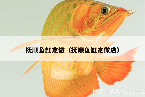 撫順魚缸定做（撫順魚缸定做店）