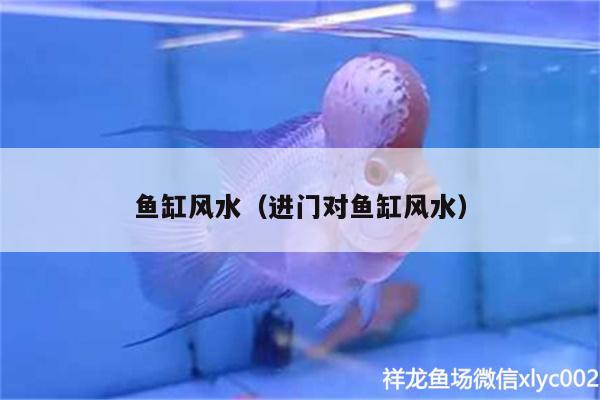 魚缸風(fēng)水（進(jìn)門對魚缸風(fēng)水） 魚缸風(fēng)水