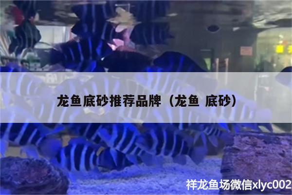 龍魚底砂推薦品牌（龍魚底砂）