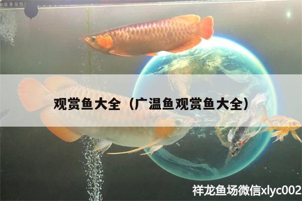 觀賞魚大全（廣溫魚觀賞魚大全）