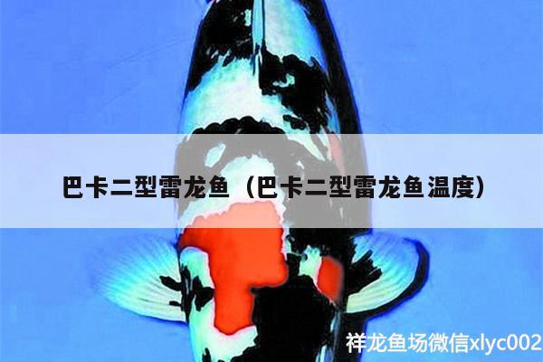 巴卡二型雷龍魚（巴卡二型雷龍魚溫度） 銀龍魚