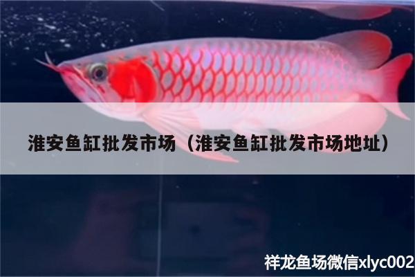 淮安魚缸批發(fā)市場（淮安魚缸批發(fā)市場地址）