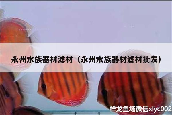 永州水族器材濾材（永州水族器材濾材批發(fā)）