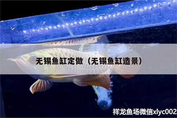 無(wú)錫魚(yú)缸定做（無(wú)錫魚(yú)缸造景） 觀賞龜/鱉飼料