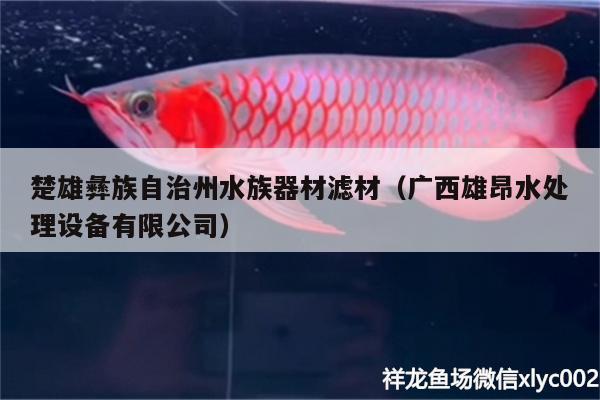 楚雄彝族自治州水族器材濾材（廣西雄昂水處理設(shè)備有限公司） 野彩魚