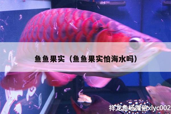 魚(yú)魚(yú)果實(shí)（魚(yú)魚(yú)果實(shí)怕海水嗎）