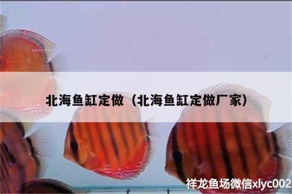 北海魚缸定做（北海魚缸定做廠家） 星點金龍魚