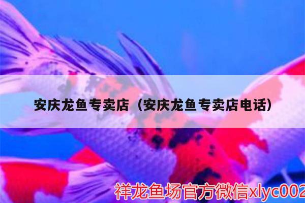 安慶龍魚專賣店（安慶龍魚專賣店電話）