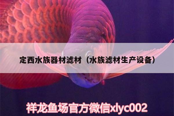 定西水族器材濾材（水族濾材生產(chǎn)設(shè)備）