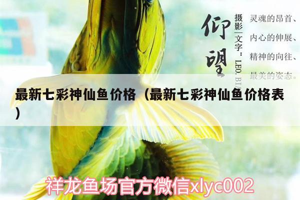 最新七彩神仙魚價(jià)格（最新七彩神仙魚價(jià)格表）