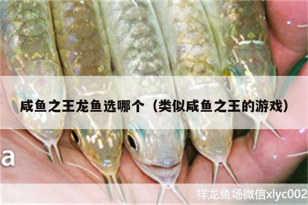 咸魚之王龍魚選哪個(gè)（類似咸魚之王的游戲）