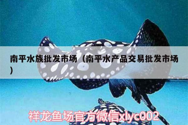 南平水族批發(fā)市場（南平水產(chǎn)品交易批發(fā)市場）