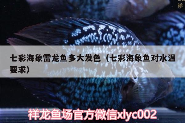 七彩海象雷龍魚多大發(fā)色（七彩海象魚對水溫要求） 海象魚