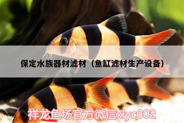 保定水族器材濾材（魚(yú)缸濾材生產(chǎn)設(shè)備）