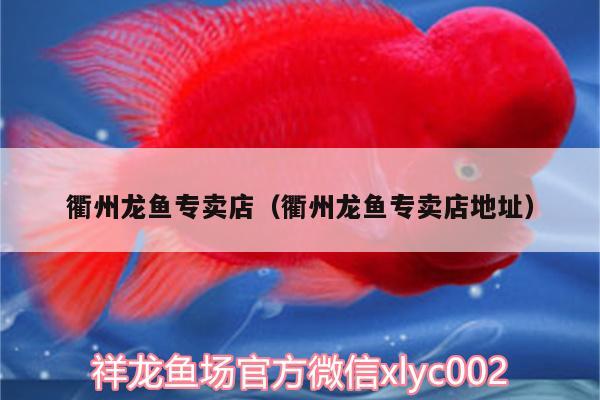 衢州龍魚專賣店（衢州龍魚專賣店地址） 祥龍傳奇品牌魚缸