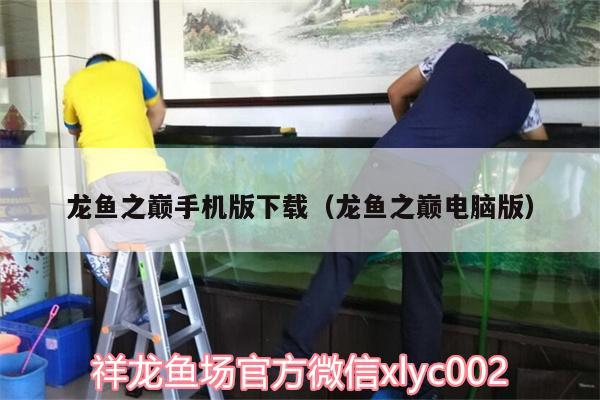 龍魚之巔手機版下載（龍魚之巔電腦版） 水族品牌