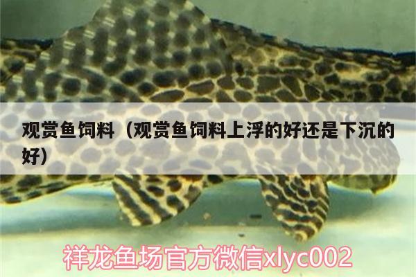 觀賞魚(yú)飼料（觀賞魚(yú)飼料上浮的好還是下沉的好） 狗仔招財(cái)貓魚(yú)