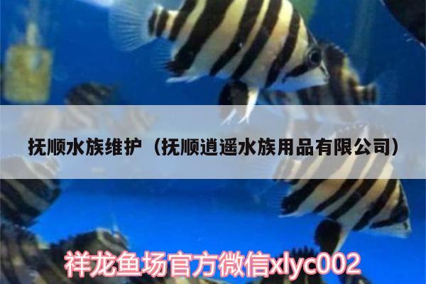 撫順?biāo)寰S護(hù)（撫順逍遙水族用品有限公司）