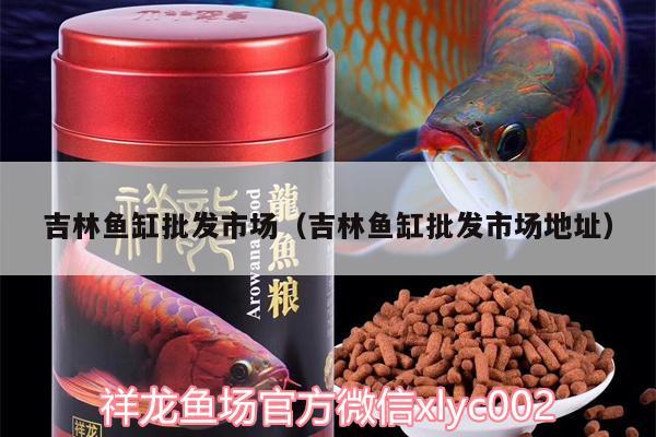 吉林魚缸批發(fā)市場(chǎng)（吉林魚缸批發(fā)市場(chǎng)地址）