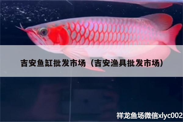 吉安魚缸批發(fā)市場（吉安漁具批發(fā)市場）