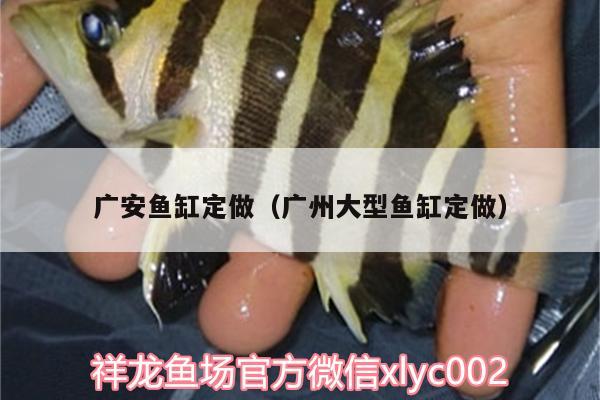 廣安魚(yú)缸定做（廣州大型魚(yú)缸定做）