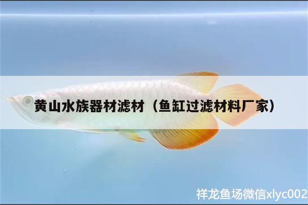 黃山水族器材濾材（魚缸過濾材料廠家） 紅白錦鯉魚