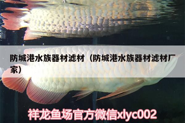 防城港水族器材濾材（防城港水族器材濾材廠家） 黃金鴨嘴魚