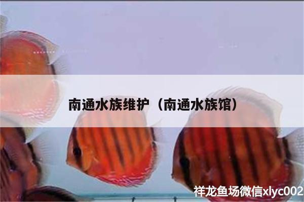 南通水族維護（南通水族館）