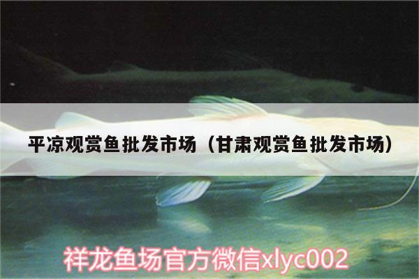 平?jīng)鲇^賞魚批發(fā)市場(chǎng)（甘肅觀賞魚批發(fā)市場(chǎng)）