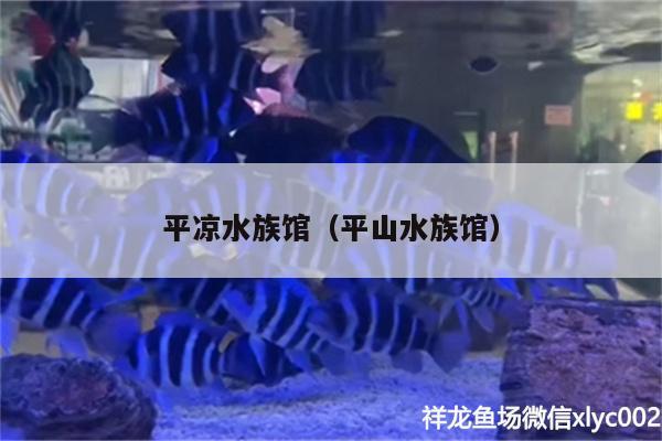 平涼水族館（平山水族館） 黑云魚